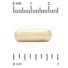 Super Nutrition Alpha Lipoic Acid, 250 mg, 120 Veggie Capsules - 3 of 4