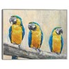 Masterpiece Art Gallery 22"x28" Coastal Trio Wall Art - 2 of 4