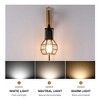 3.54 in. 1-Light Black Metal Wall Sconce - 4 of 4