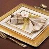 Smarty Had A Party 9.5" Ivory with Gold Square Edge Rim Plastic Dinner Plates (120 Plates) - image 4 of 4