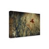 Trademark Fine Art - Jan van der Solo Canvas Art - 4 of 4