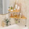 MaseiKar Bathroom Organizer Countertop Corner Shelf,2 Tier Bathroom Organization Bamboo Spice Rack, Kitchen Countertop Organize - 2 of 4