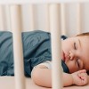 Owlet Dream Swaddle Wrap - Deep Sea Green - 3 of 4