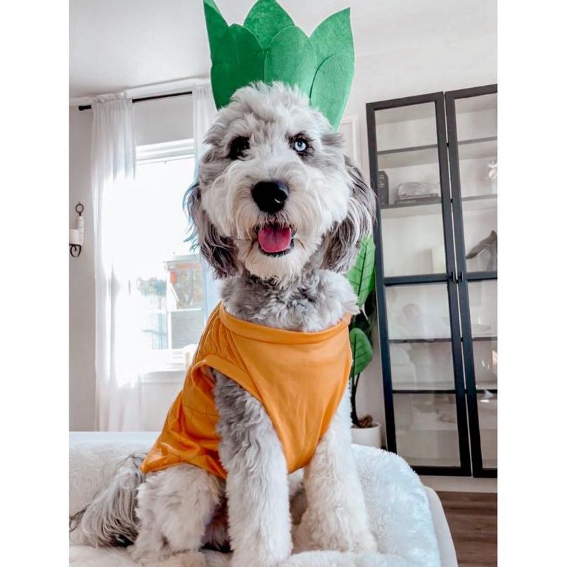 Midlee Pineapple Dog Costume, 2 of 10