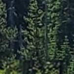 regis barnwood mocha narrow