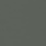 kale green/reviera eichi