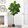 Nearly Natural 5.5-ft Fiddle Leaf Artificial Tree - 3 of 3