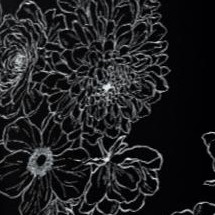 sketched bouquet
