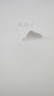 Guest review image 1 of 2, zoom in