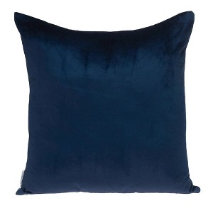 Parkland Collection,Nerine Transitional Reversible Throw Pillow - 1 of 4