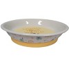 Disney Parks Mickey Mouse "Change Your World" 7.5-inch Pet Bowl - 3 of 4