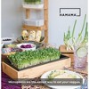HAMAMA Broccoli Seed Quilts, Pack of 9, Organic & Non-GMO Microgreen Seeds - Includes 9 Broccoli Seed Quilts - 4 of 4