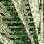 palm fan green