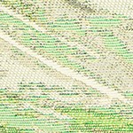 palm fan green