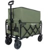 Whisen Expandable Dual-Layer Utility Wagon with 100% Extra Space, Grocery Cart for Camping, Shopping, Supports 225lbs - 3 of 4