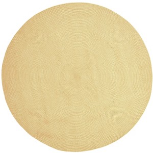 Modern Rustic Braided Pattern High-Traffic Polypropylene Casual Coastal Indoor/Outdoor Area Rug by Blue Nile Mill - 1 of 4