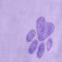 soft iris paws