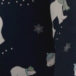 navy polar bears