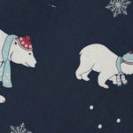navy polar bears