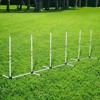 PawHut Adjustable Dog Agility Training Obstacle Set with Weaves Poles and Storage Bag - 3 of 4