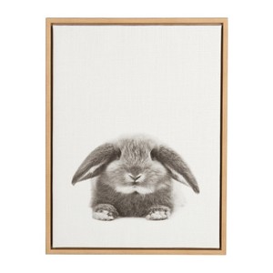 24" x 18" Rabbit Framed Canvas Art - Uniek - 1 of 3