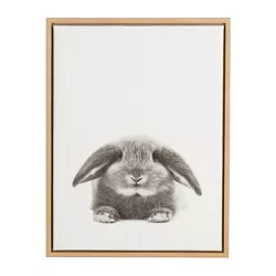 24" x 18" Rabbit Framed Canvas Art Natural - Uniek