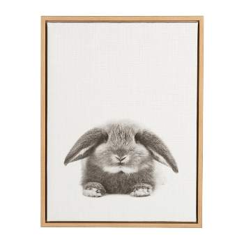 24" x 18" Rabbit Framed Canvas Art - Uniek
