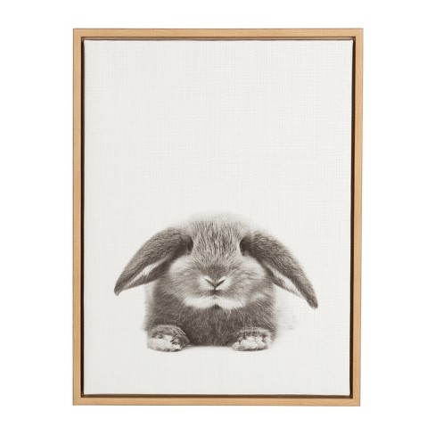 24" x 18" Rabbit Framed Canvas Art - Uniek - image 1 of 3