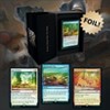 Magic the Gathering: Secret Lair - Every Dog Has Its Day (Foil Edition) - 2 of 4