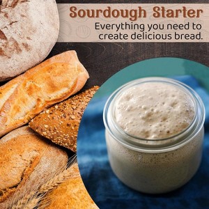 Living Dough 233-Year San Francisco Sourdough Starter – Active Organic, Live Culture for Artisanal Baking: Bread, Pizza, Waffles, Pancakes & More - 1 of 4
