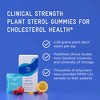 Piper Biosciences LDL Cholesterol Health Gummy Supplement - 2280 mg Plant Sterol Esters - Clinical Strength, Vegan, 1 Box, 4 Packs, 240 Gummies per - 4 of 4