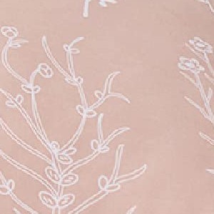 dusty rose