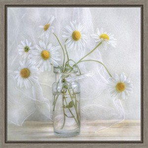 Amanti Art Daisies by Mandy Disher Canvas Wall Art Print Framed 16 x 16-in. - 1 of 4