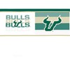 NCAA South Florida Bulls 24oz Competitor Classic Tumbler - image 2 of 3