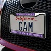 Tarleton State University Texans Logo Full Size Standard License Plate Metal Frame - 3 of 4