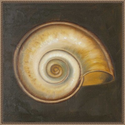 Patricia Pinto Nautical Seashell Canvas Framed Wall Art 22 x 22-in.