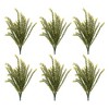 Baby Tears Foliage Bush (Set of 6) - 2 of 3