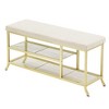 Shoe Storage Bench with Padded Seat, Shoe Rack Bench for Entryway, Shoe Storage Shelf with Metal Frame, 2-Tier Shoe Organizer for Bedroom Living Room - 2 of 4