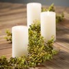Sullivans Artificial 72" Eucalyptus Garland - 3 of 4