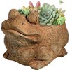 Classic Home and Garden Cement Buddies Indoor/Outdoor Planter with Drainage Hole, Frog - 2 of 4