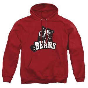 Lenoir-Rhyne University Official Distressed Primary Logo Adult Pull-Over Hoodie - 1 of 4