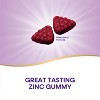 Nature's Way Zinc Immune Support Gummies - Mixed Berry Flavored - 120ct - 3 of 4