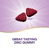 Nature's Way Zinc Immune Support Gummies - Mixed Berry Flavored - 120ct - image 4 of 4