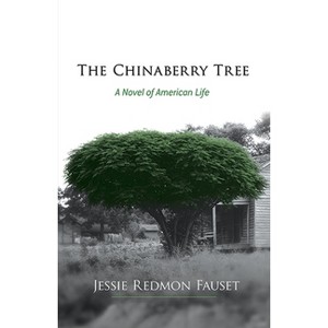 The Chinaberry Tree - (Dover Literature: African American) by  Jessie Redmon Fauset (Paperback) - 1 of 1