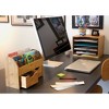 Lipper International Space Saving Desk Organizer Target