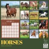 TF Publishing 13.5"x14.5" 2026 Horses Wall Calendar - 4 of 4
