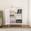 GDFStudio Rosalla Modern Metal Accent Cabinet with Mesh Doors and Adjustable Shelves - 2 of 4