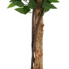 SEVOBAL Artificial Plants 63" Ficus Tree Pre-Potted Faux Greenery with Glossy Leaves for Home Decor, Green, 41"*41"*63" - 2 of 4