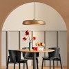 Rennnsan Vovryn 23"W 1-Light Dome Distressed Metal Industrial Dimmable Oversize Pendant in Brown - 2 of 4