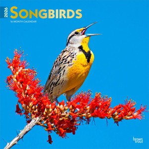 BrownTrout Songbirds 2026 12"x24" Hanging Square Wall Calendar Plastic-Free - 1 of 4